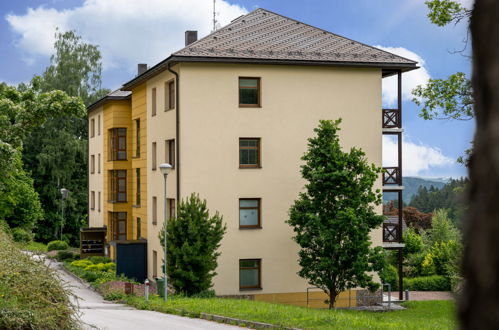 Foto 5 - Apartment mit 1 Schlafzimmer in Janské Lázně mit blick auf die berge