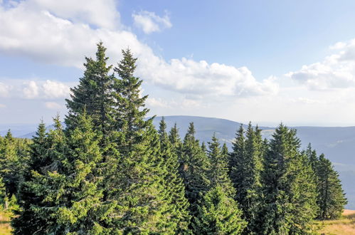 Foto 42 - Appartamento con 1 camera da letto a Janské Lázně con vista sulle montagne