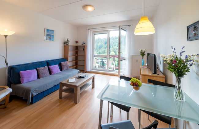 Apartamento de 2 quartos em Janské Lázně - Foto 1