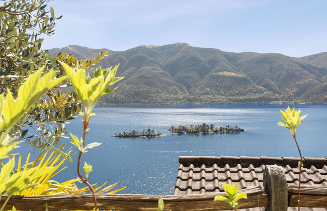 Apartamento de 3 quartos em Ronco sopra Ascona com jardim - Foto 18