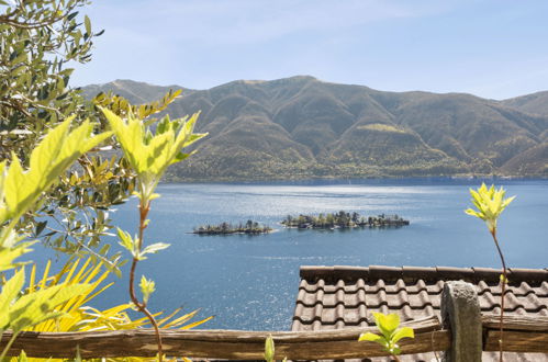 Foto 18 - Appartamento con 2 camere da letto a Ronco sopra Ascona con giardino e vista sulle montagne