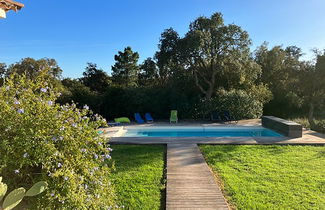 Foto 3 - Haus mit 4 Schlafzimmern in Zonza mit privater pool und garten