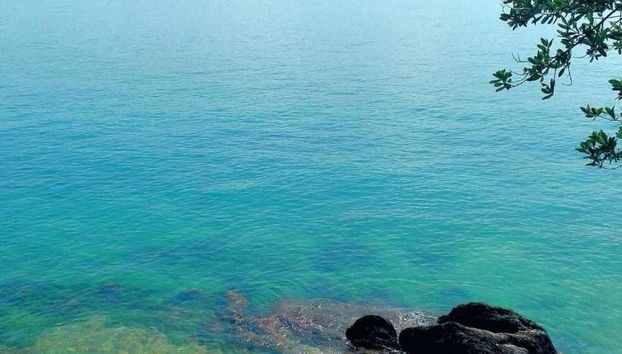 Villa Cappellina - Photo 2