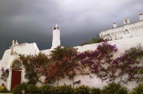 Foto 5 - Masseria Torre Coccaro