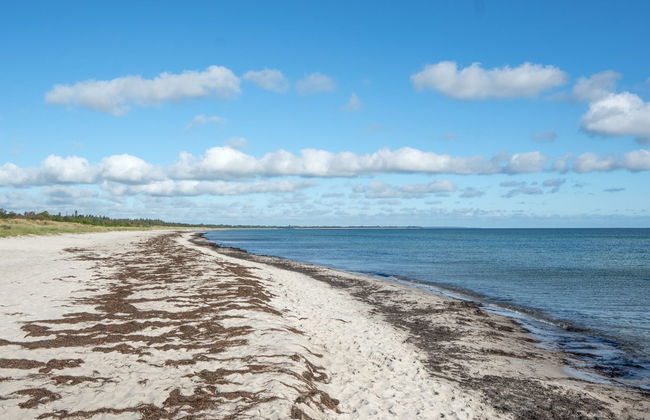 "Bergit" - 55m from the sea - Foto 4