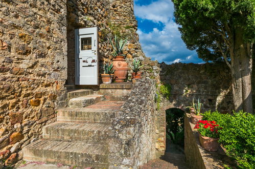 Foto 48 - Appartamento con 2 camere da letto a Sovicille con giardino e terrazza