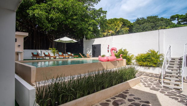 La Quinta Caribeña - Foto 3