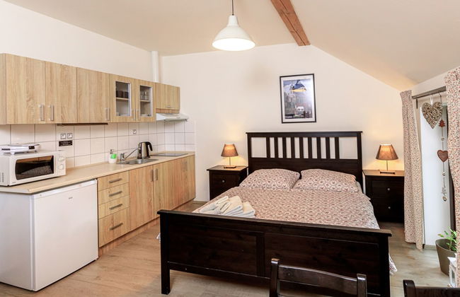 Apartamento de 1 quarto em Arnoltice com jardim e terraço - Foto 3