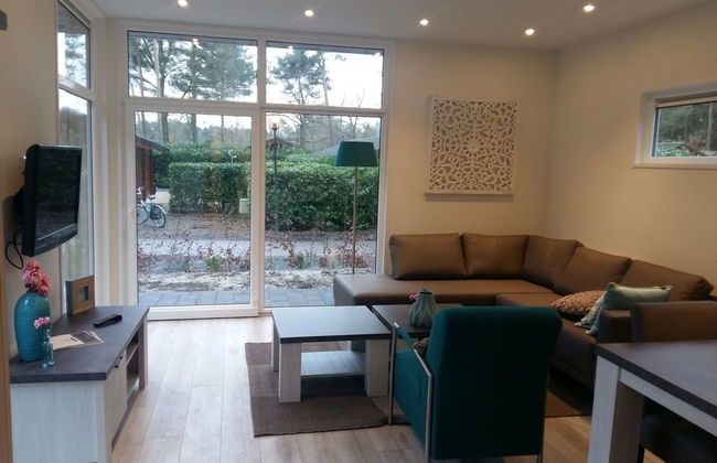 Casa de 3 quartos em Lochem com piscina e terraço - Foto 5