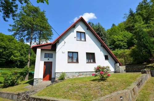 Foto 31 - Casa con 2 camere da letto a Železný Brod con giardino e terrazza