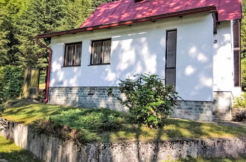 Foto 38 - Haus mit 2 Schlafzimmern in Železný Brod mit garten und terrasse