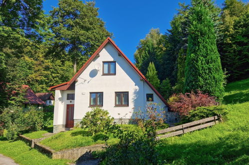 Photo 23 - Maison de 2 chambres à Železný Brod avec jardin et terrasse