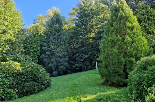 Foto 30 - Casa con 2 camere da letto a Železný Brod con giardino e terrazza