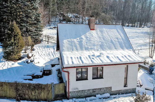 Foto 43 - Haus mit 2 Schlafzimmern in Železný Brod mit garten und terrasse