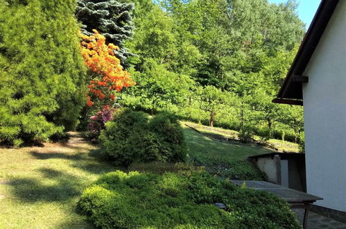 Photo 25 - Maison de 2 chambres à Železný Brod avec jardin et terrasse