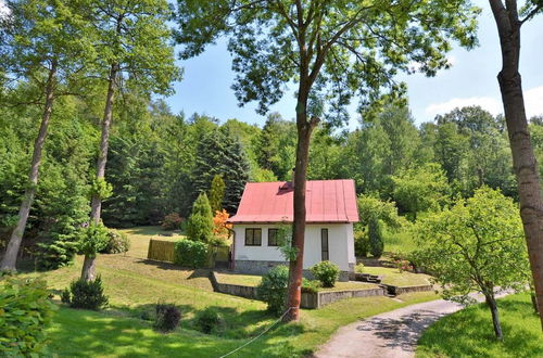 Foto 24 - Casa con 2 camere da letto a Železný Brod con giardino e terrazza