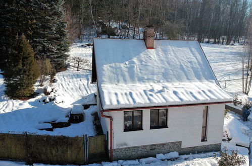 Foto 34 - Casa con 2 camere da letto a Železný Brod con giardino e terrazza