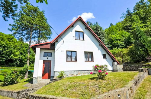 Foto 30 - Haus mit 2 Schlafzimmern in Železný Brod mit garten und terrasse