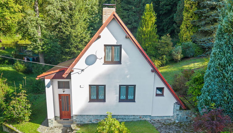 Foto 1 - Haus mit 2 Schlafzimmern in Železný Brod mit garten und terrasse