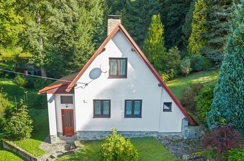 Foto 1 - Haus mit 2 Schlafzimmern in Železný Brod mit garten und terrasse