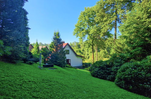 Foto 37 - Casa de 2 quartos em Železný Brod com jardim e terraço