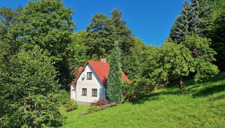 Photo 1 - Maison de 2 chambres à Železný Brod avec jardin et terrasse