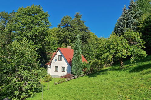 Foto 1 - Casa con 2 camere da letto a Železný Brod con giardino e terrazza