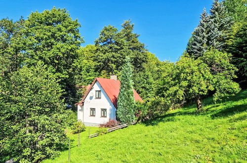 Foto 40 - Haus mit 2 Schlafzimmern in Železný Brod mit garten und terrasse