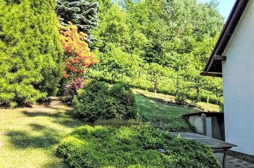 Foto 34 - Haus mit 2 Schlafzimmern in Železný Brod mit garten und terrasse