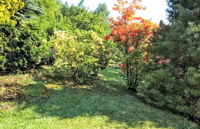 Casa de 2 quartos em Železný Brod com jardim e terraço - Foto 35
