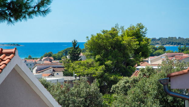 Haus mit 4 Schlafzimmern in Sibenik mit privater pool und garten - Foto 2