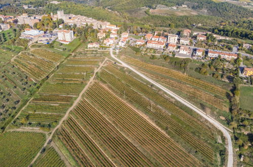 Foto 45 - Casa con 2 camere da letto a Castellina in Chianti con terrazza