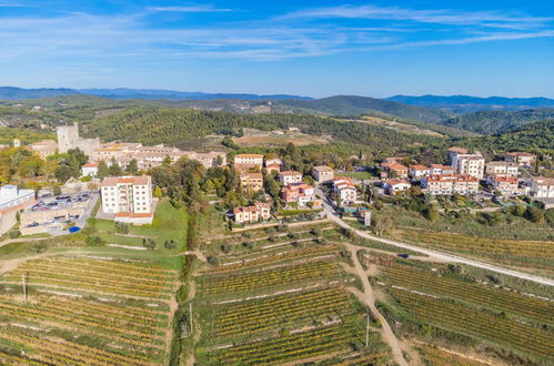 Foto 41 - Casa de 2 quartos em Castellina in Chianti com terraço