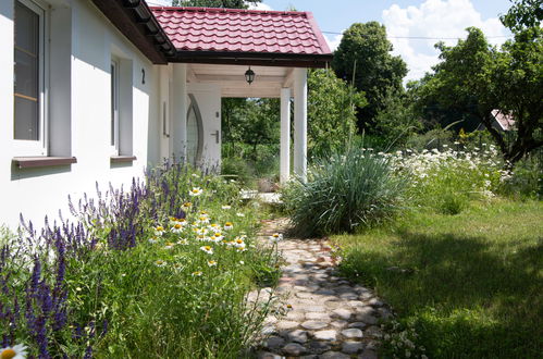 Foto 39 - Casa con 4 camere da letto a Dobra con piscina privata e giardino