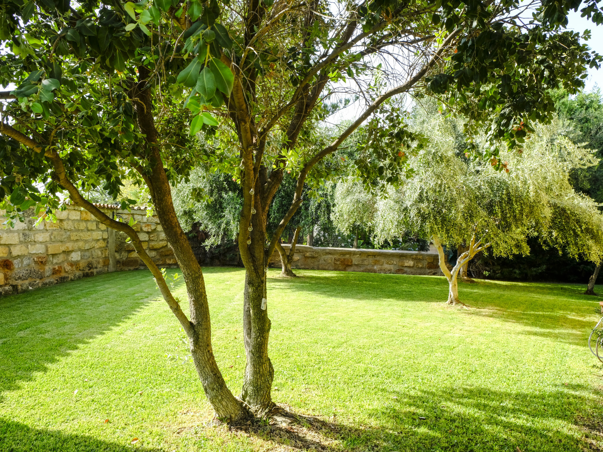 Photo 24 - Maison de 3 chambres à Cinisi avec piscine privée et jardin