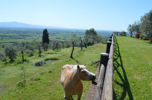 Photo 32 - Maison de 3 chambres à Civitella in Val di Chiana avec piscine privée et jardin