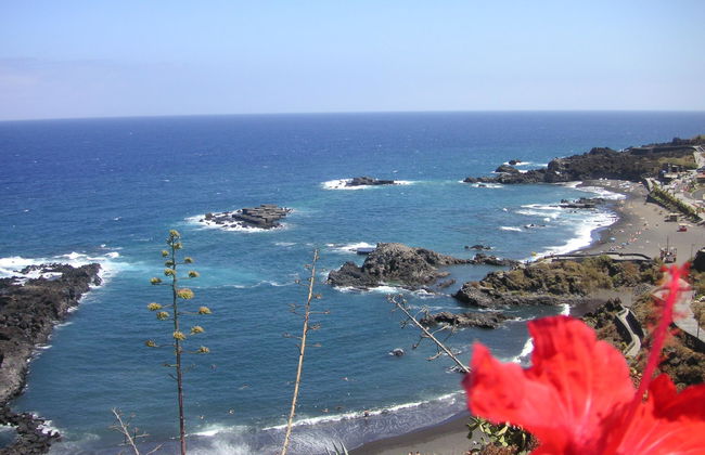 El Cerrito - Foto 23