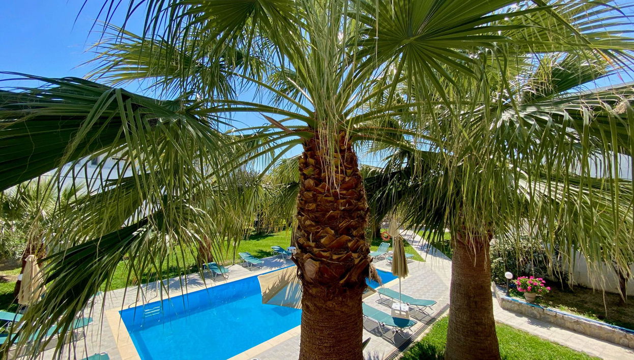 Manolis Apartments - Foto 1