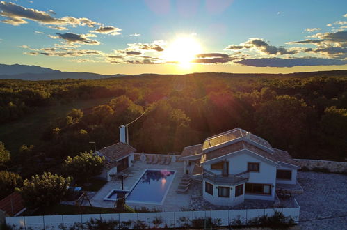 Foto 52 - Casa con 5 camere da letto a Proložac con piscina privata e terrazza