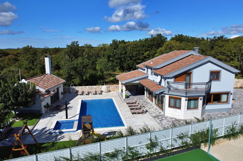 Foto 50 - Casa con 5 camere da letto a Proložac con piscina privata e giardino