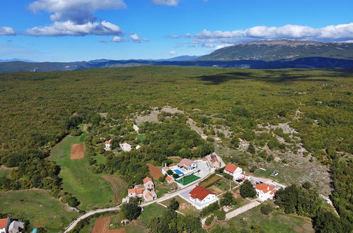 Foto 51 - Casa con 5 camere da letto a Proložac con piscina privata e giardino