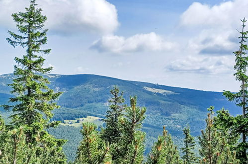 Foto 45 - Apartamento de 1 quarto em Černý Důl com vista para a montanha