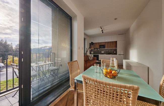 Apartment mit 2 Schlafzimmern in Černý Důl - Foto 16