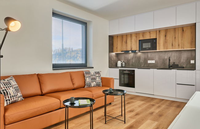 2 bedroom Apartment in Černý Důl - Photo 8