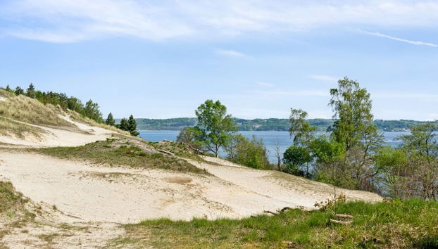 Casa de 3 quartos em Børkop com terraço e sauna - Foto 4
