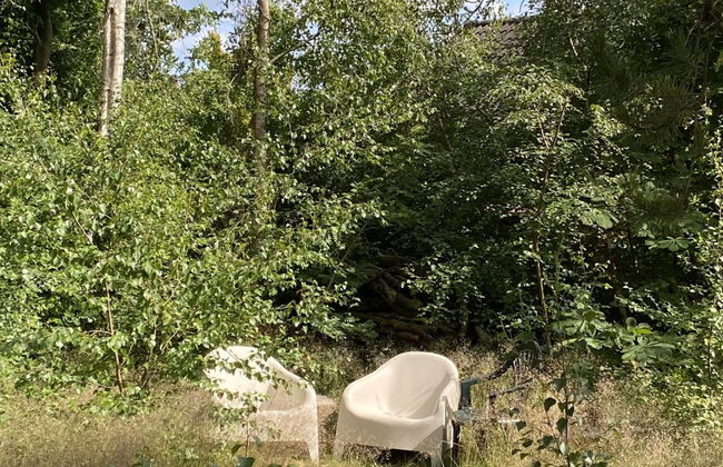 Casa de 3 quartos em Børkop com terraço e sauna - Foto 5