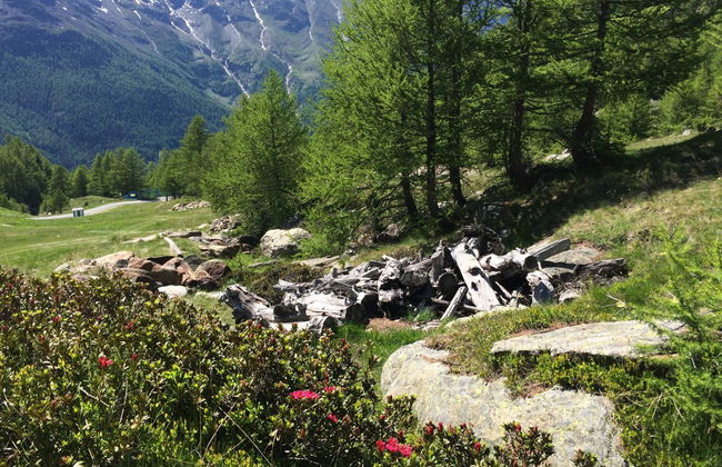 Apartamento de 4 quartos em Saas-Grund com jardim e terraço - Foto 30