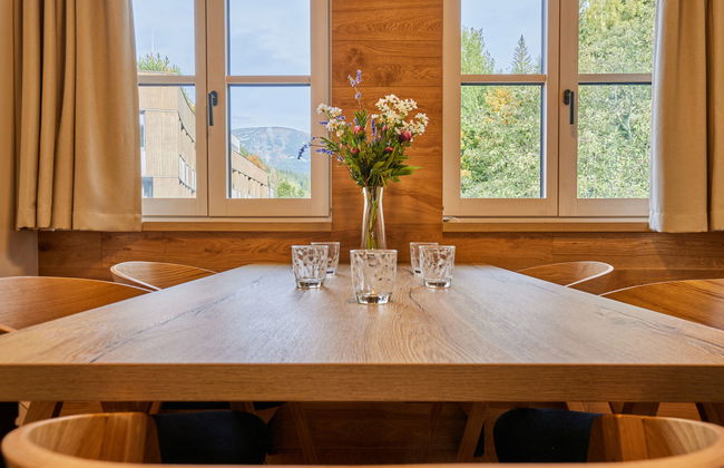 Apartment mit 2 Schlafzimmern in Pec pod Sněžkou - Foto 15