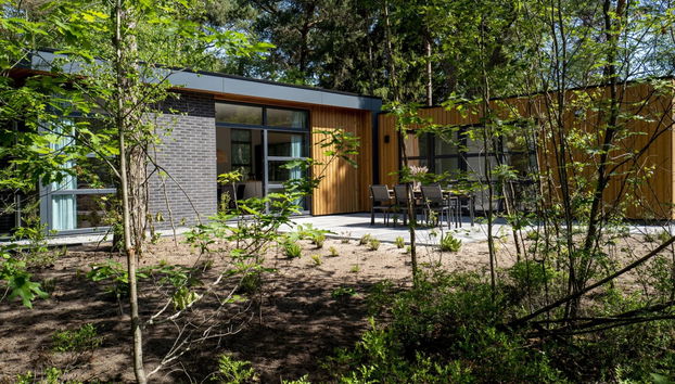 Casa de 4 quartos em Beekbergen com piscina e jardim - Foto 5