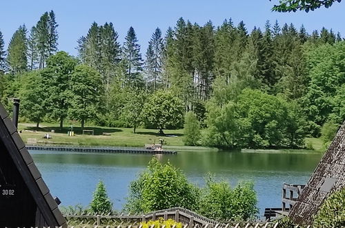 Photo 22 - Maison de 1 chambre à Clausthal-Zellerfeld avec jardin